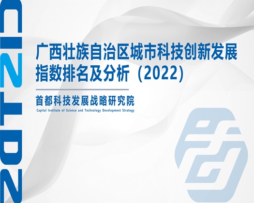 大屌插嫩穴视频【成果发布】广西壮族自治区城市科技创新发展指数排名及分析（2022）